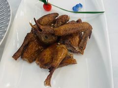 乳鸽-菜之味