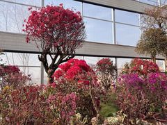 -沂蒙云瀑洞天景区