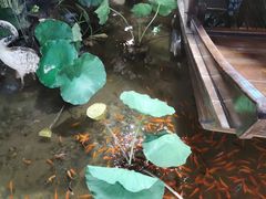-苏浙徽·江南荟·本味融合菜(相城方圆里店)