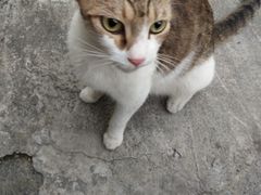 -笑笑面家(白兰路店)