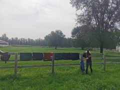 -北京群众马术培训基地