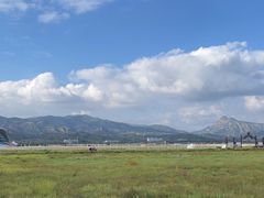 -敕勒川草原