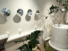 -喜茶(迪士尼小镇DP店)