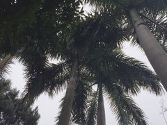 -南宁南湖公园