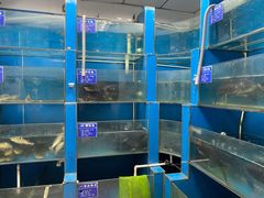水产区-永安鱼庄·镇江菜(三店纬五路店)