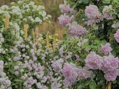 -昆明春城湖畔度假村