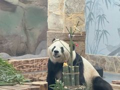 -无锡动物园·太湖欢乐园