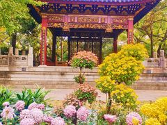 -汇龙潭