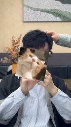 -MOVAN HAIR莫凡匠人发型屋