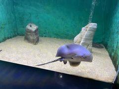 -常州海昌海洋探索馆