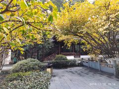 -十八棵（老龙井）御茶园(老龙井店)