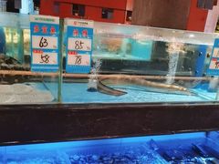 -阿伟海鲜楼·福建菜(延寿店)