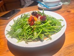 -菌自由丨野生菌火锅特色庭院餐厅(丽江古城店)