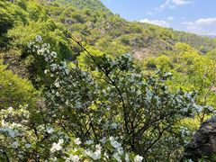 -阳台山自然风景区