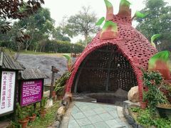 -森波拉火山温泉