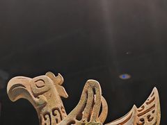 -遇见博物馆(遇见海洋沉浸式奇幻光影展)