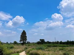 -良渚古城遗址公园