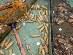 -万家宴海鲜大酒楼(五四路店)