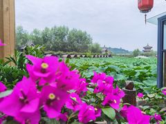 -渭南桃花源民俗文化园