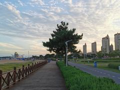 -青岛金沙滩