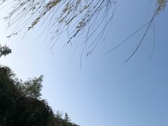 -艾溪湖湿地公园