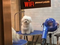 -PETKIT小佩宠物(古北店)