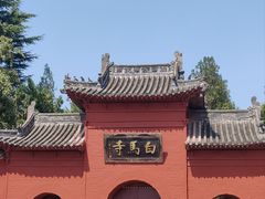 -洛阳白马寺