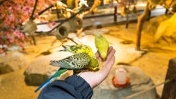 -酷嗒动物文化乐园(cutezoo西溪乐天城店)