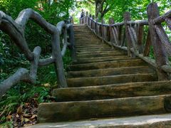 -光雾山旅游景区