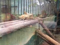 -昆明动物园