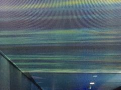 -白鹤梁水下博物馆