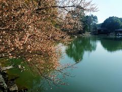 -宝岩生态观光园