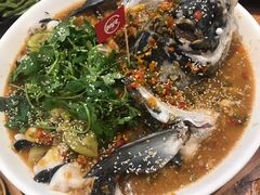 -陈记高压锅鱼头·生蚝