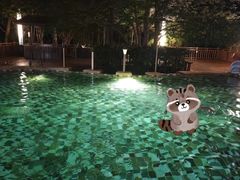 -天目湖涵田半山温泉