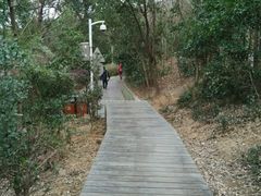-上海佘山国家森林公园西佘山园