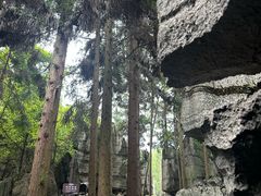 -梭布垭石林景区