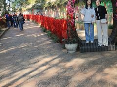 -墨江北回归线标志园