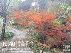 -崂山九水游览区