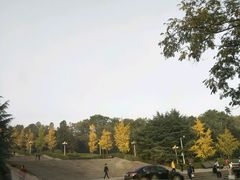 -西北农林科技大学(北校区)