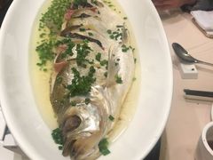 -新南华大酒店(长寿店)