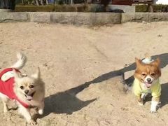 -心乐生活新鲜屋(星海广场店)