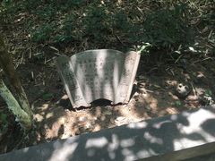 纪念品-分塔山省级森林公园