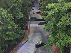 -圣淘沙天际线斜坡滑车