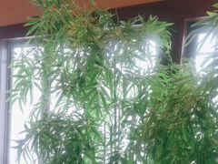 -洞庭土菜馆(天河北总店)
