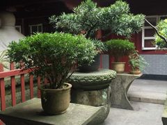 普陀山慧济禅寺-普陀山慧济禅寺