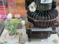 -希望齿科(河西店)