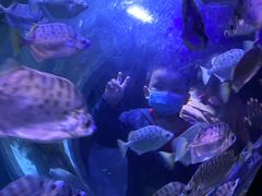 -成都浩海立方海洋公园