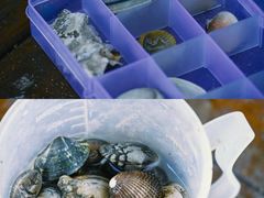 -天津东疆湾沙滩景区
