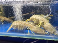 -盛港湾海鲜食府(黄沙店)