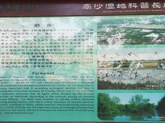 -大湾区中央湿地公园